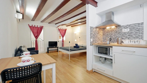 Delightful studio in El Raval