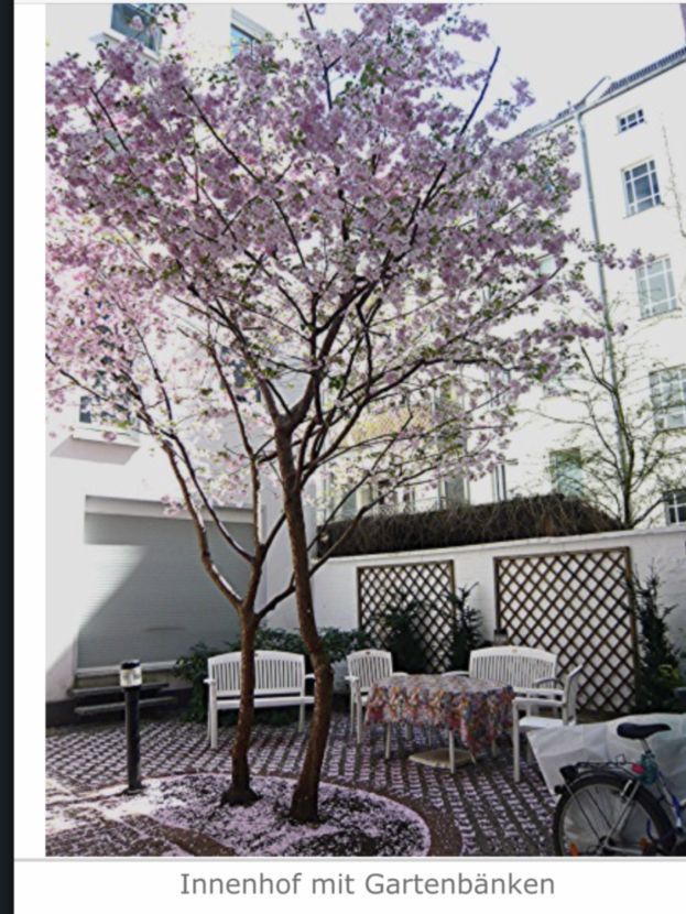  New Apartment With Personal Service And Great Location  -  New apartment with personal service and great location  - Gallery -  6