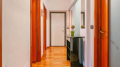 Antonelli 211 by Toh Solution - Gallery - 33