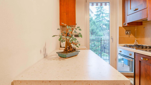 Antonelli 211 by Toh Solution - Gallery - 7