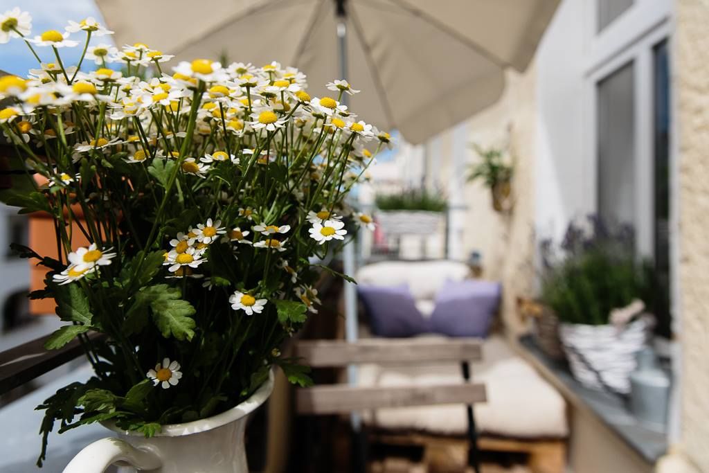  Great Apartment In Prenzlauer Berg  -  Great apartment in Prenzlauer Berg  - Gallery -  2