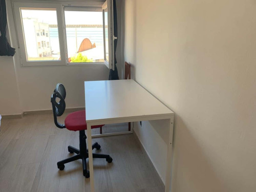 20427024820260412111755PM