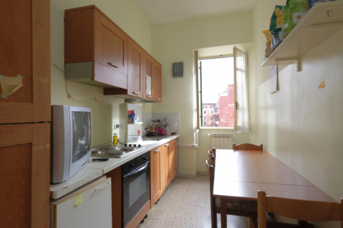 Single bedroom not far from Università La Sapienza