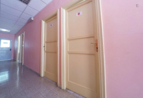 Single bedroom not far from Sapienza University - Gallery - 6