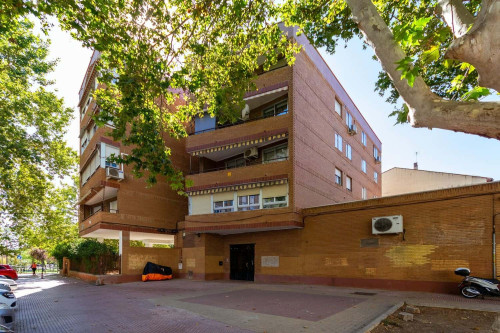 Calle Nardo 10, 1º-B (6H3B) - Alcalá de Henares (H4) - Nardo 10 - 1B - Gallery - 20