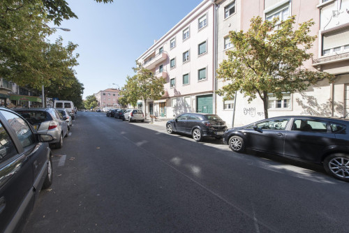 Pleasant single bedroom close to Instituto Superior Técnic