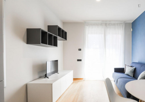Lovely 1-bedroom apartment near Porta Romana metro station - Gallery - 11