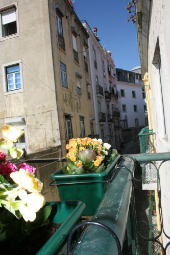 Adorable 2 bedroom apartment close to ISEG