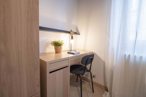 Splendida Stanza Singola in Appartamento Rinnovato- rif STZ35 - Via Ferrini 44