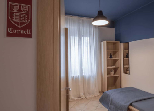 Splendida Stanza Singola in Appartamento Rinnovato- rif STZ35 - Via Ferrini 44