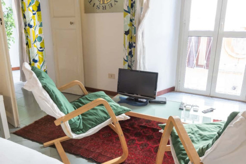 (RM) ZUCCHELLI  - Gallery -  5