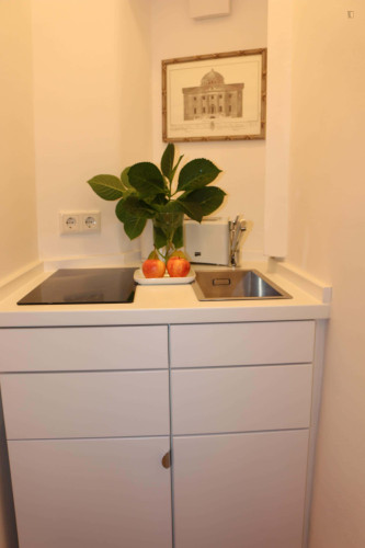 Apartment in Niedenau, Frankfurt am Main for 28 m² - Gallery - 6