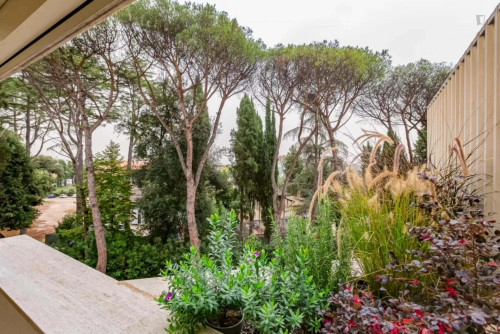 Apartment in Via Cassia, Roma for 38 m² - Gallery - 2