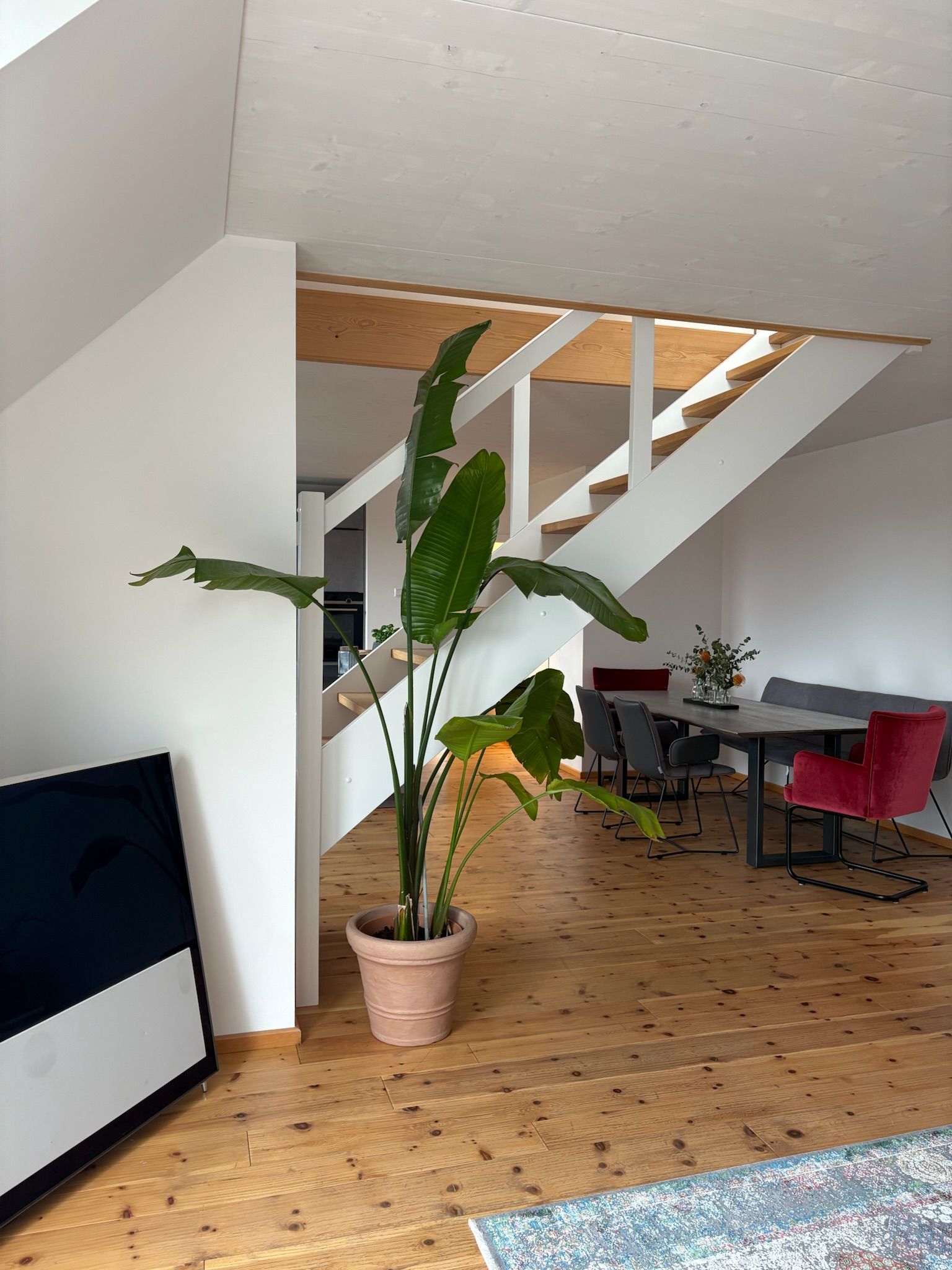  Business Apartment  -  Business Apartment  - Gallery -  22