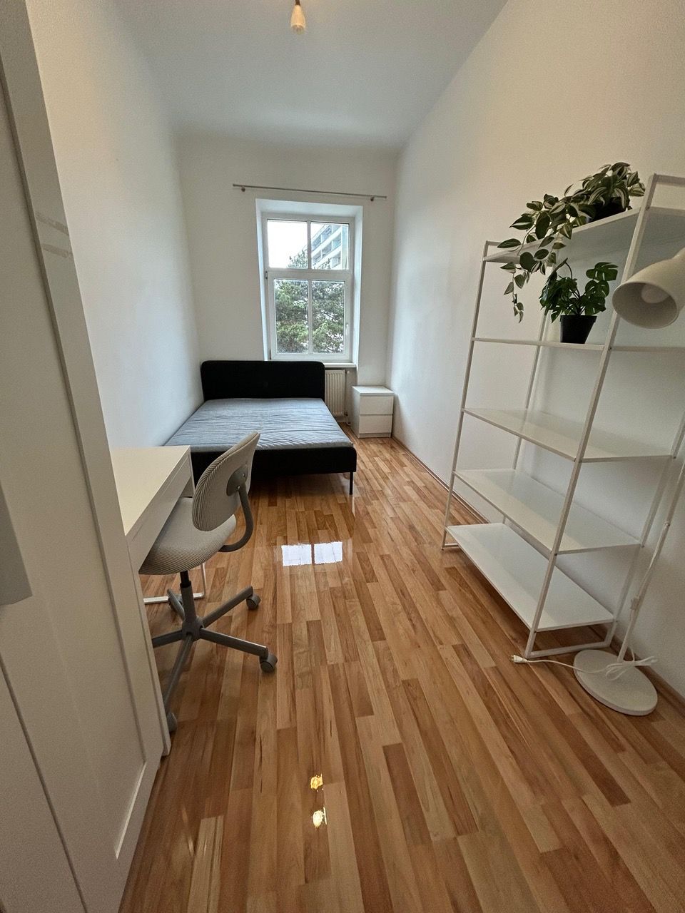  Studio  -  Gorgeous studio in quiet street  - Gallery -  5