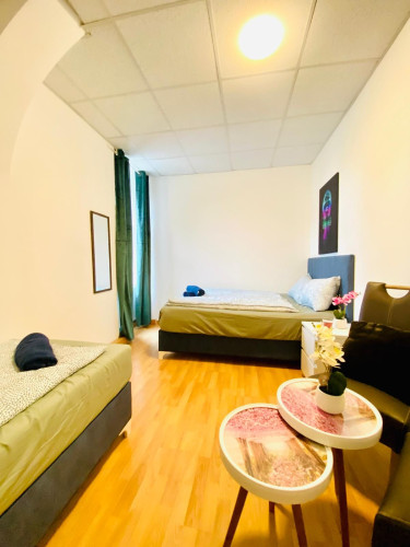 Cozy and charming loft close to city center, Wien