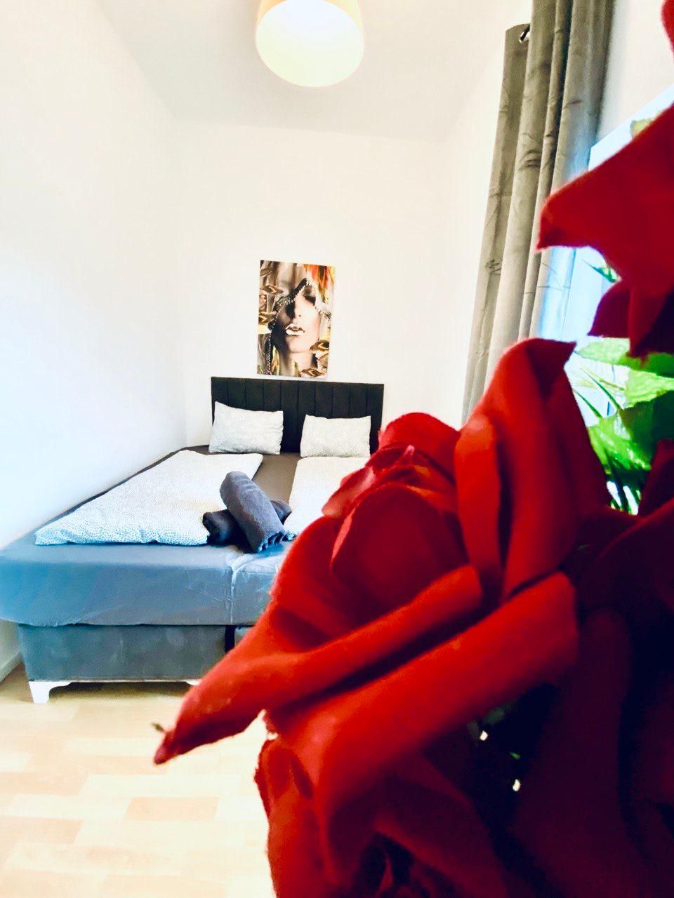 Bright & modern apartment in a popular area