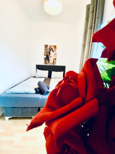 Bright & modern apartment in a popular area