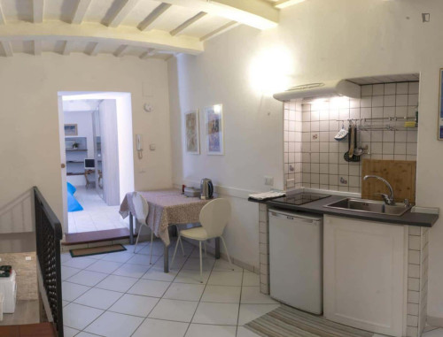 Apartment in Via del Canerino, Perugia for 50 m² with 1 bedroom - Gallery - 7