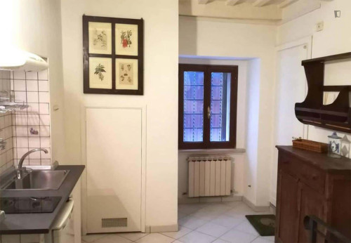 Apartment in Via del Canerino, Perugia for 50 m² with 1 bedroom