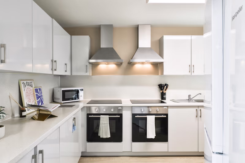 Classic Shared Apartment - 3