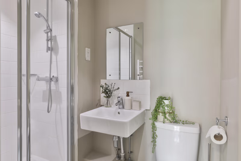 Classic Shared Apartment - 4
