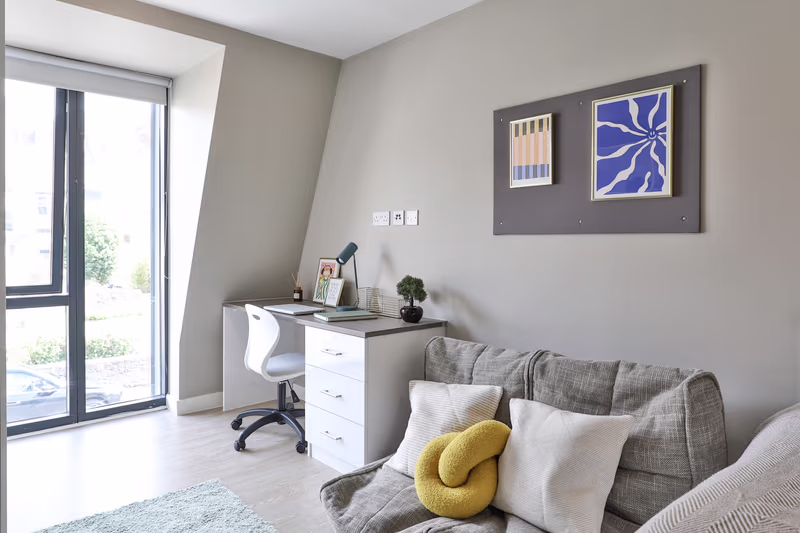 Classic Shared Apartment - 1