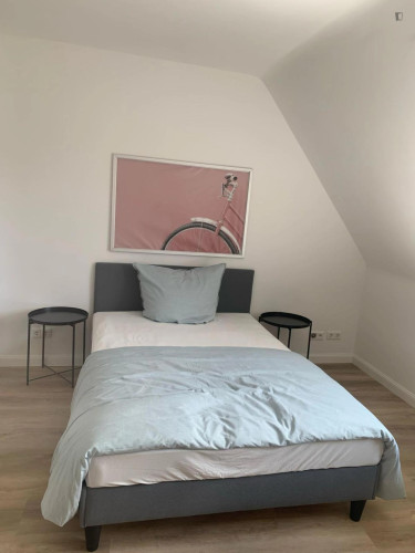 Appealing 3- double bedroom apartment in Altstadt  - Gallery -  5