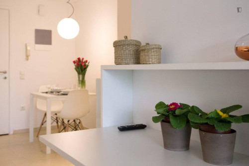 Pleasant studio in Faliro