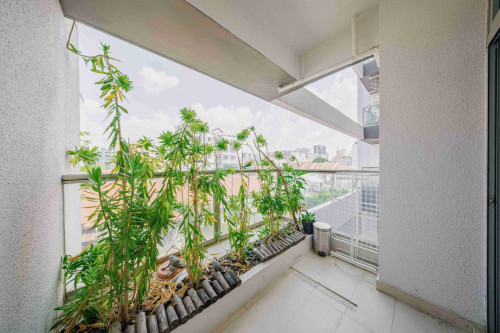 Evergreen View  - Gallery -  5