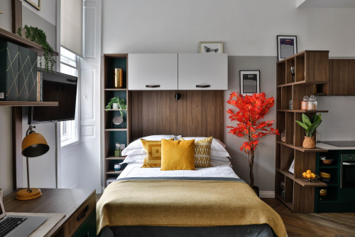 South Bridge  - Gallery -  2