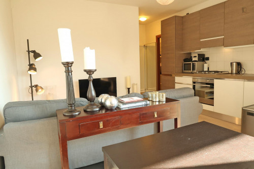 1-Bedroom apartment near Milano Porta Romana metro station - Gallery - 18