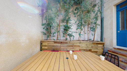 Dahlia  - Gallery -  5