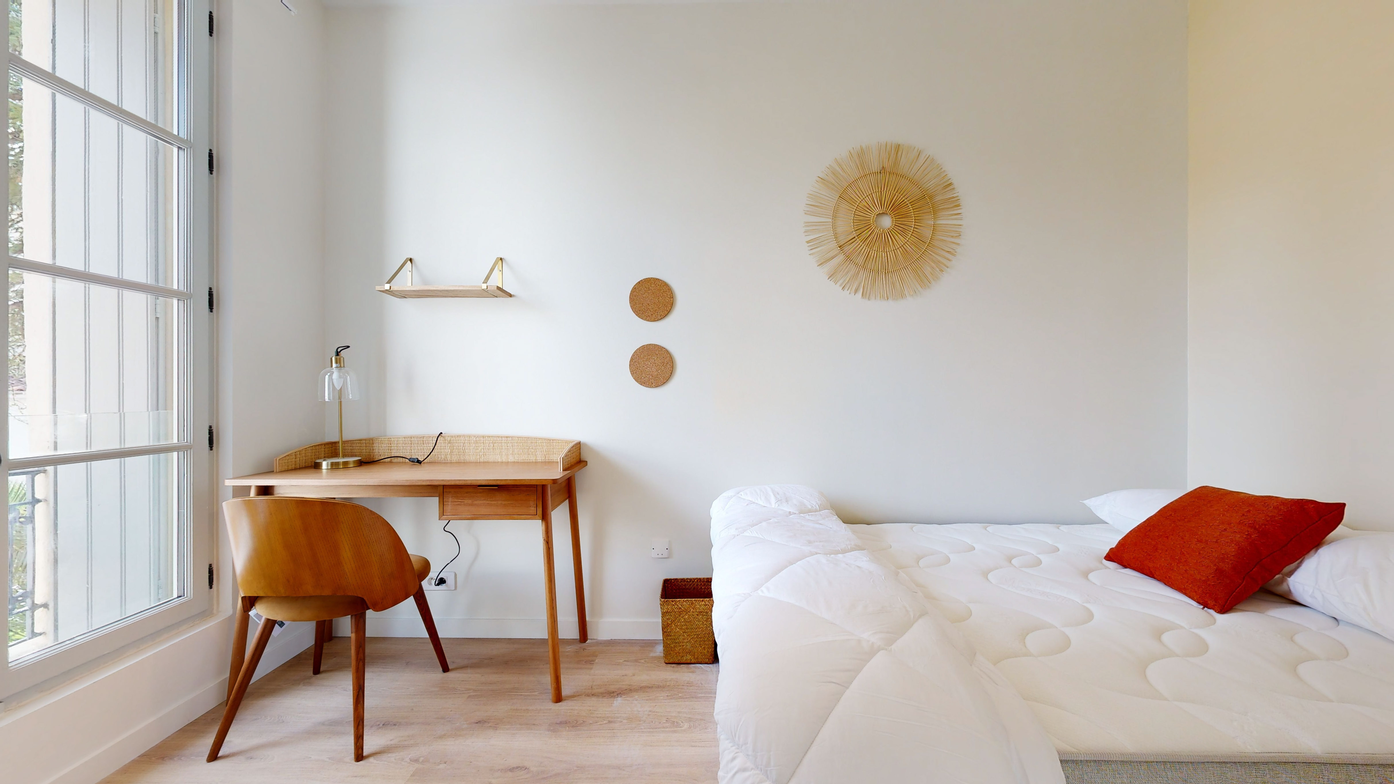  Room For One Person - 5  -  Panama  - Gallery -  1