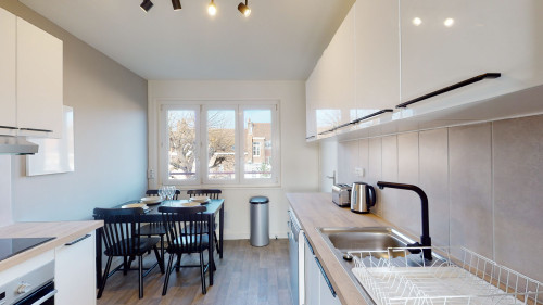 Lille Allard Dugauquier  - Gallery -  5