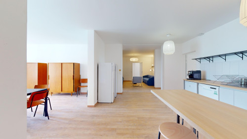 Themis 4  - Gallery -  5