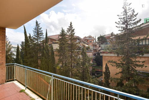 Fancy single bedroom close to Parco Giancarlo Sbragia