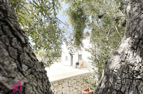 Via Tratturo di Foggia - Villa degli Ulivi