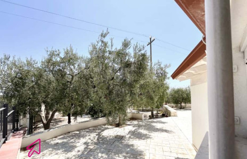 Via Tratturo di Foggia - Villa degli Ulivi