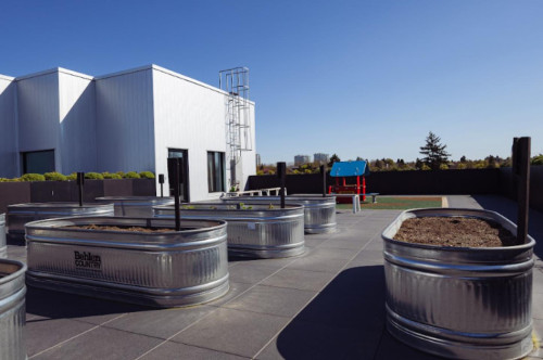 Modern Stylish Building w/ Terrace near John Hendry Park (Trout Lake Park) Home