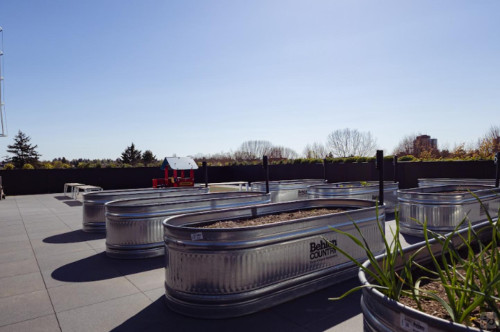 Modern Stylish Building w/ Terrace near John Hendry Park (Trout Lake Park) Home