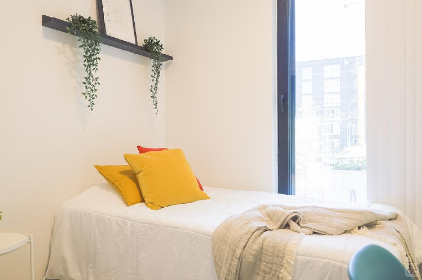Flex Room - Trout - Modern Stylish Building w/ Terrace near John Hendry Park (Trout Lake Park) Home - Gallery - 4