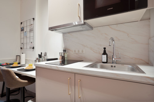 Deluxe Studio in Halle (Saale) | center | kitchen