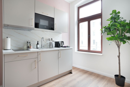 Deluxe Studio in Halle (Saale) | center | kitchen - Gallery - 51