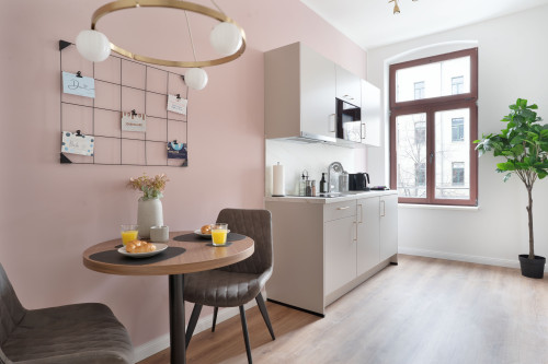 Deluxe Studio in Halle (Saale) | center | kitchen