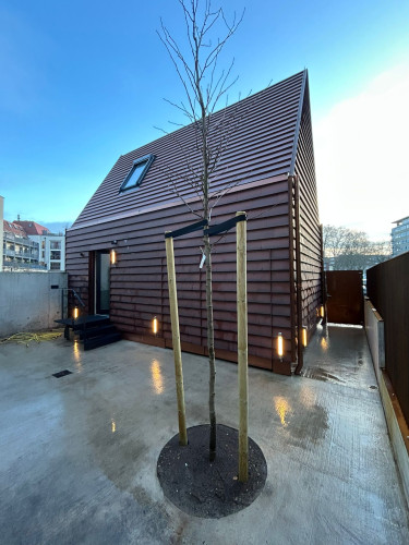 Tiny House mitten in der Altstadt von Münster