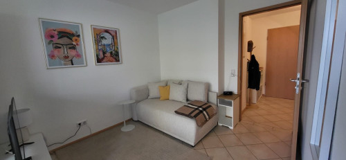 Fashionable & nice apartment (Freiburg im Breisgau) - Gallery - 9
