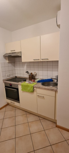 Fashionable & nice apartment (Freiburg im Breisgau) - Gallery - 20