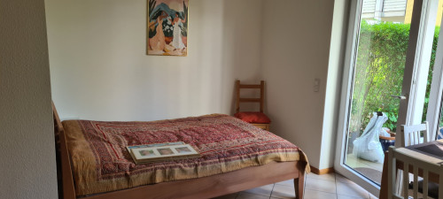 Fashionable & nice apartment (Freiburg im Breisgau) - Gallery - 10