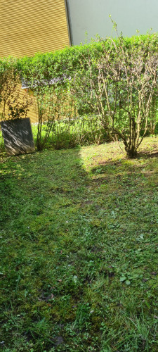 Fashionable & nice apartment (Freiburg im Breisgau) - Gallery - 16